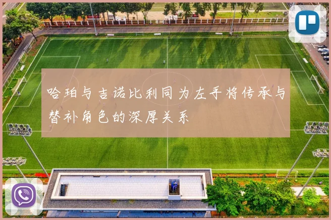 哈珀与吉诺比利同为左手将传承与替补角色的深厚关系