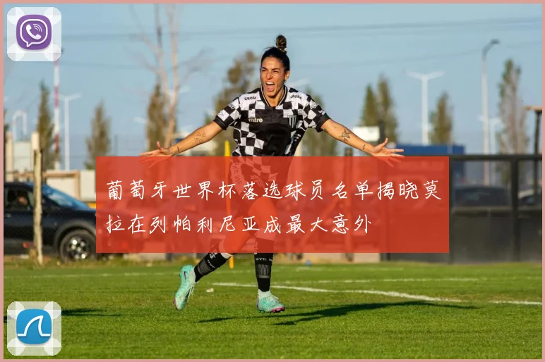 葡萄牙世界杯落选球员名单揭晓莫拉在列帕利尼亚成最大意外